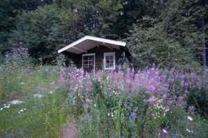 Gartenschuppen